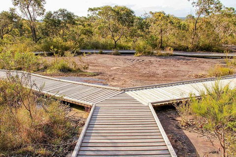 Kangaroo Encounter & Aboriginal Rock Arts Half-Day Trip From Sydney - Perths Hotel 1