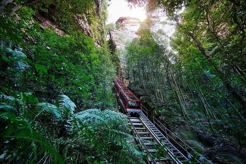 All-Inclusive Blue Mountains Tour In A Luxury Mercedes Sprinter - Perths Hotel 8