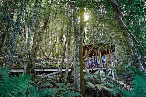 All-Inclusive Blue Mountains Tour In A Luxury Mercedes Sprinter - Perths Hotel 6