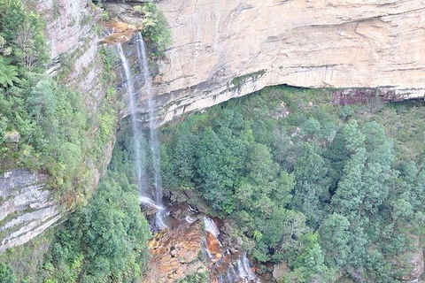 All-Inclusive Blue Mountains Tour In A Luxury Mercedes Sprinter - Perths Hotel 9
