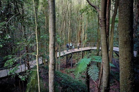 All-Inclusive Blue Mountains Tour In A Luxury Mercedes Sprinter - Perths Hotel 13