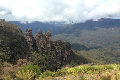 All-Inclusive Blue Mountains Tour In A Luxury Mercedes Sprinter - Perths Hotel 3
