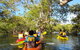 2-Hour Rental Kayak Double In Brunswick River - thumb 2