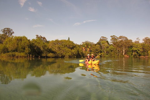 2-Hour Rental Kayak Double In Brunswick River - Perths Hotel 5
