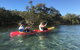 2-Hour Rental Kayak Double In Brunswick River - thumb 4