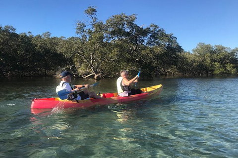 2-Hour Rental Kayak Double In Brunswick River - Perths Hotel 4