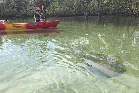 2-Hour Rental Kayak Double In Brunswick River - Perths Hotel 6