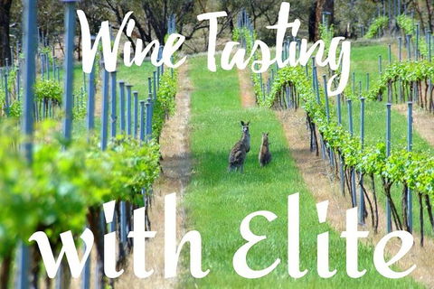 Six Hour - Plan Your Own Wine And Cheese Tour Hunter Valley - Perths Hotel 7