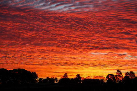 Private Full-Day Wine Tour In Hunter Valley - Perths Hotel 0