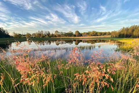 Private Full-Day Wine Tour In Hunter Valley - Perths Hotel 5