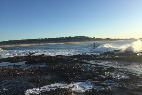 Red Dog Surf - Professional Surf Lessons - Perths Hotel 2