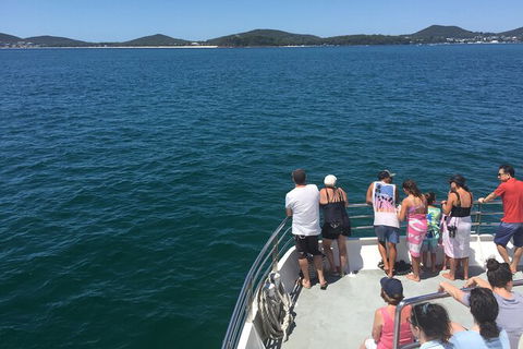 Port Stephens Private Bus Tour From Sydney, Option Of Dolphin Or Whale Cruises - Perths Hotel 3