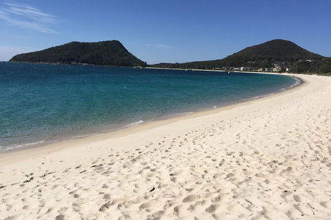 Port Stephens Private Bus Tour From Sydney, Option Of Dolphin Or Whale Cruises - Perths Hotel 1