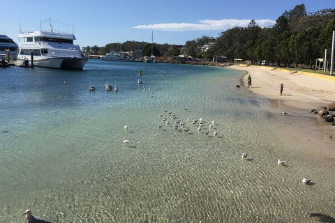 Port Stephens Private Bus Tour From Sydney, Option Of Dolphin Or Whale Cruises - Perths Hotel 8