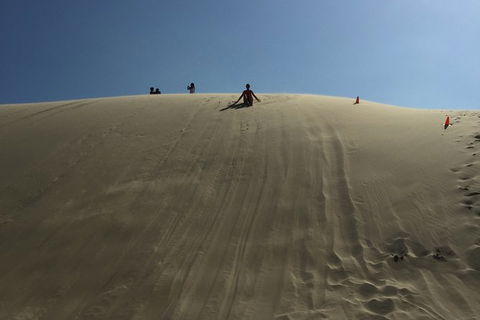 Port Stephens Private Bus Tour From Sydney, Option Of Dolphin Or Whale Cruises - Perths Hotel 6