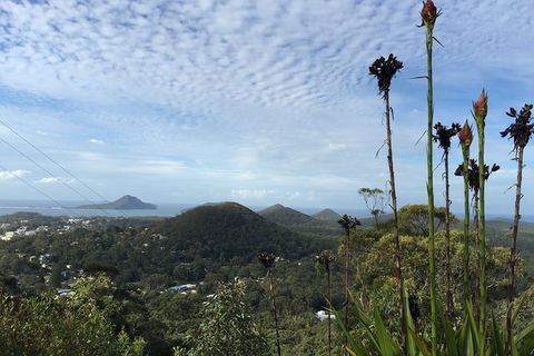 Port Stephens Private Bus Tour From Sydney, Option Of Dolphin Or Whale Cruises - Perths Hotel 4
