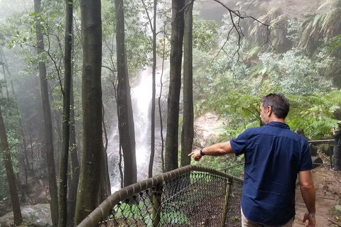 Blue Mountains Highlights, Wildlife Park And Scenic World Full Day Private Tour - Perths Hotel 6