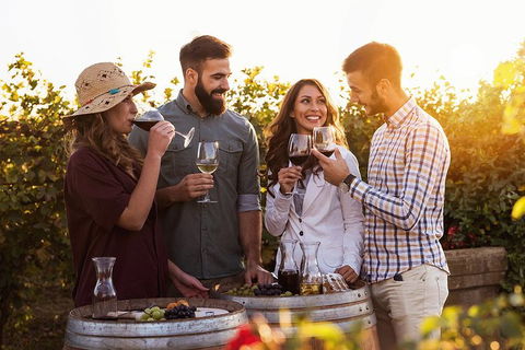Hunter Valley Highlights Private Wine Tour From Sydney - Perths Hotel 0