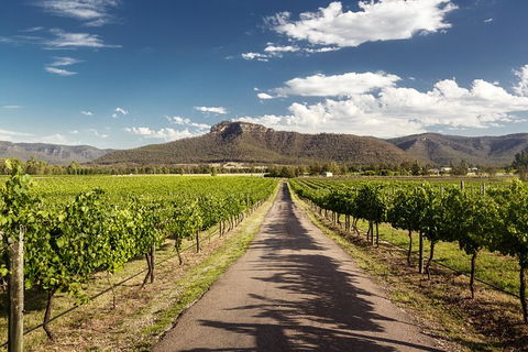 Hunter Valley Highlights Private Wine Tour From Sydney - Perths Hotel 2