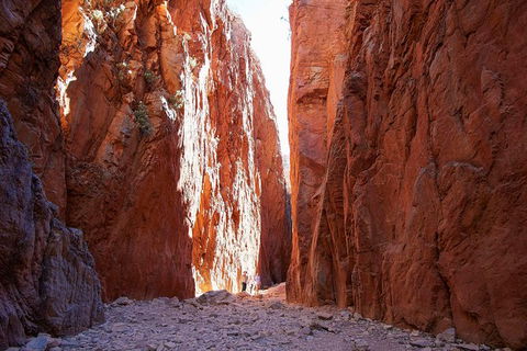 Best Of Alice Springs Full Day Tour - Perths Hotel 6