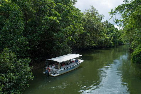 Daintree Rainforest, Cape Tribulation And Bloomfield Track Small Group Tour - Perths Hotel 5