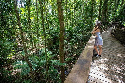 Daintree Rainforest, Cape Tribulation And Bloomfield Track Small Group Tour - Perths Hotel 3