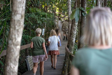 Daintree Rainforest, Cape Tribulation And Bloomfield Track Small Group Tour - Perths Hotel 15