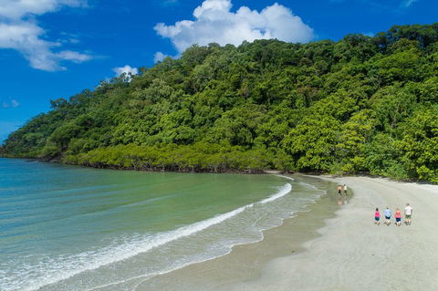 Daintree Rainforest, Cape Tribulation And Bloomfield Track Small Group Tour - Perths Hotel 2
