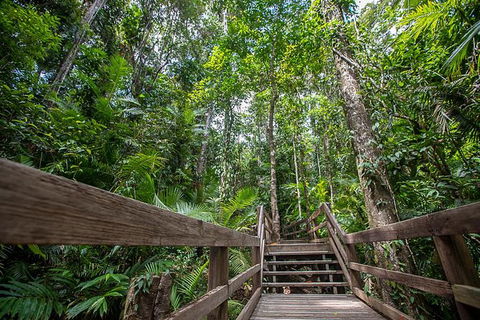 Daintree Rainforest, Cape Tribulation And Bloomfield Track Small Group Tour - Perths Hotel 13
