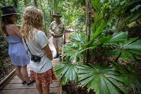 Daintree Rainforest, Cape Tribulation And Bloomfield Track Small Group Tour - Perths Hotel 12