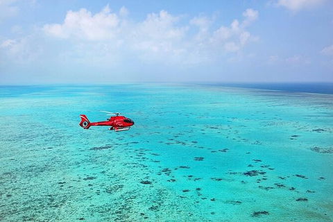 Ultimate Great Barrier Reef And Rainforest 45-minute Helicopter Tour - Perths Hotel 4