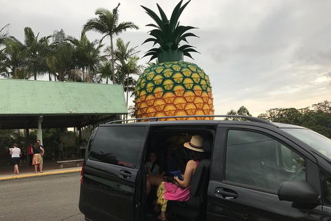 Private Transfer From Noosa To Sunshine Coast Airport- 8seater + Luggage Trailer - Perths Hotel 3