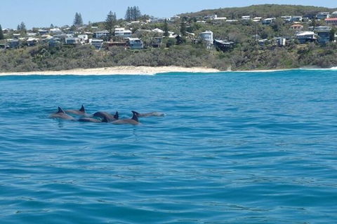 Noosa Thriller - 500hp Ocean Adventure Ride - Perths Hotel 5