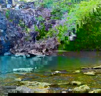 Reef Wildlife  Rainforest - Reef  Beyond Guided Holidays - Perths Hotel