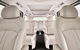 Luxury Van, Private Transfer, Cairns Airport -Trinity Beach. - thumb 2