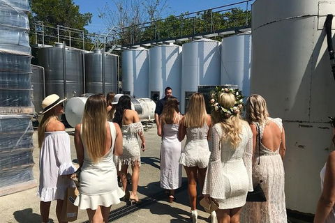 Private Half Day Wine Tour From Gold Coast To Tamborine Mountain - Perths Hotel 0