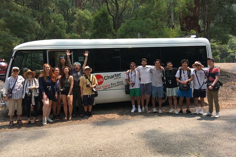 Private 13 Seat Mini Bus Brisbane CBD To A GC Theme Park Transfer - Perths Hotel 4