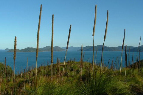 7-Day Private Sea Kayaking In Whitsundays - Perths Hotel 8