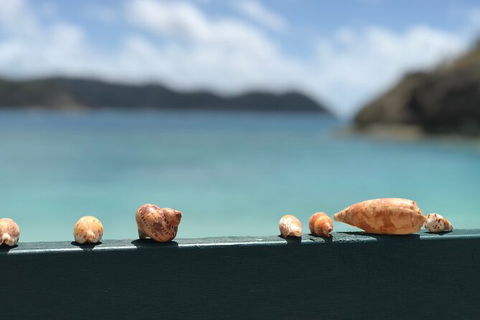 7-Day Private Sea Kayaking In Whitsundays - Perths Hotel 1