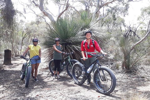 Kangaroo Island 2 Hour Bike Tour - Perths Hotel 5
