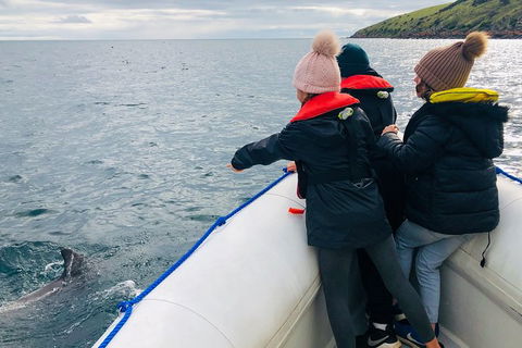 Kangaroo Island 75-Minute Ocean Safari - Perths Hotel 2