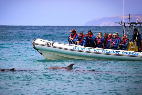 Kangaroo Island 75-Minute Ocean Safari - Perths Hotel 0