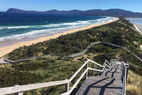 4-Day Fabulous Tasmania Tour: Wineglass Bay, Port Arthur, Devils & Bruny Island - Perths Hotel 3
