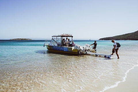 Sea & Explore Wineglass Bay & Freycinet National Park - Cruise & Walk - Perths Hotel 3