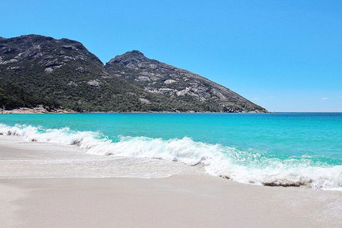Sea & Explore Wineglass Bay & Freycinet National Park - Cruise & Walk - Perths Hotel 4