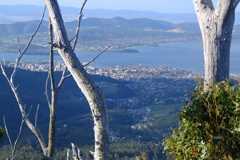 Mt. Wellington Morning Hike + Afternoon Beer & History Walk - Perths Hotel 10