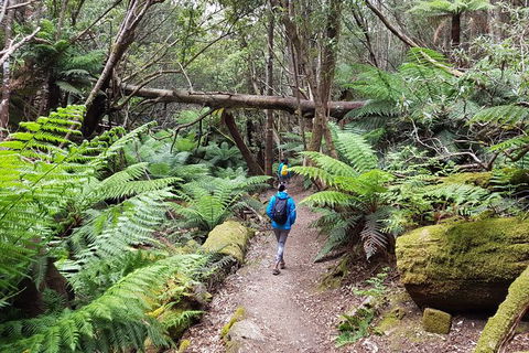 Mt. Wellington Morning Hike + Afternoon Beer & History Walk - Perths Hotel 7