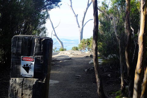 Mt. Wellington Morning Hike + Afternoon Beer & History Walk - Perths Hotel 14