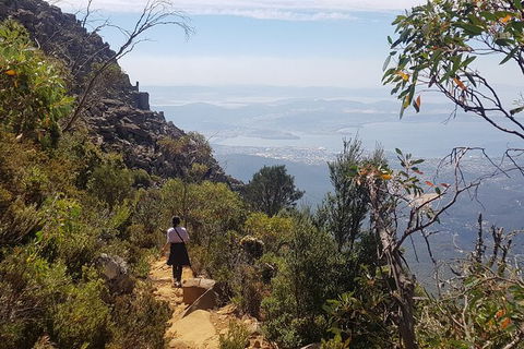 Mt. Wellington Morning Hike + Afternoon Beer & History Walk - Perths Hotel 1