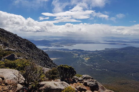Mt. Wellington Morning Hike + Afternoon Beer & History Walk - Perths Hotel 5
